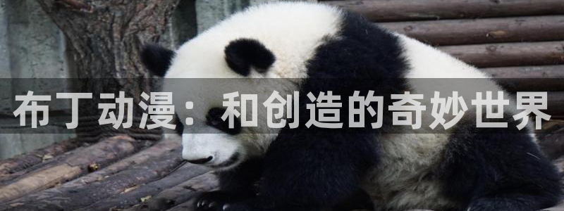 动漫天堂热门列表:布丁动漫:和创造的奇妙世界配图