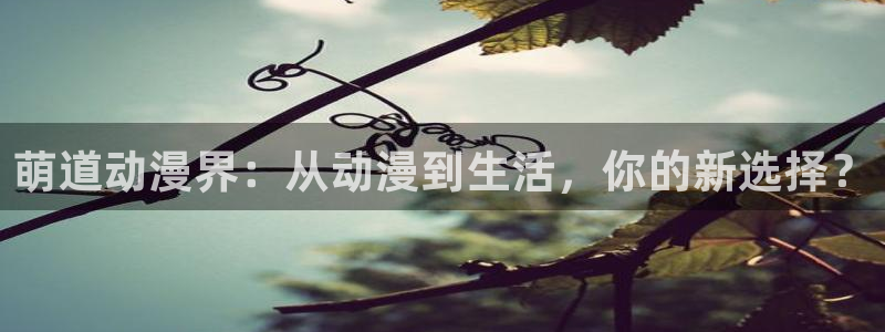 动漫天堂手机在线观看:萌道动漫界:从动漫到生活,你的新选择?配图