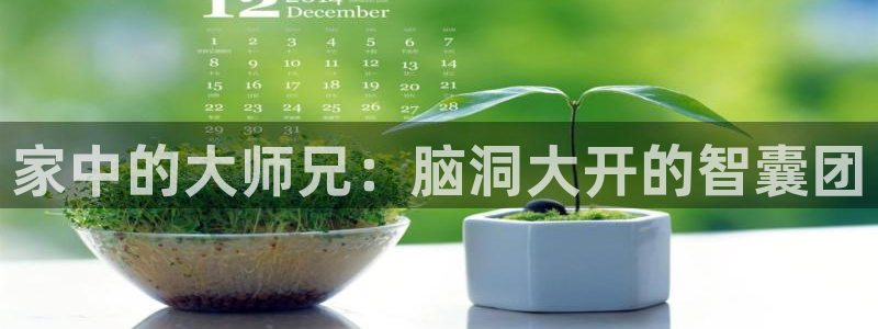 动漫天堂今日推荐:家中的大师兄:脑洞大开的智囊团配图