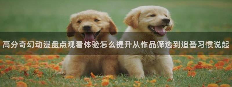 动漫天堂追番网站:高分奇幻动漫盘点观看体验怎么提升从作品筛选到追番习惯说起配图