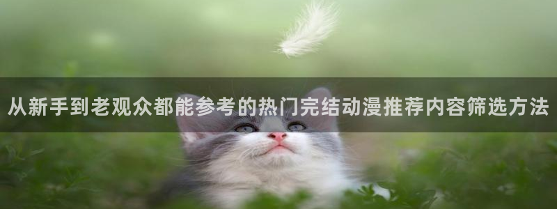 动漫天堂国漫在线观看:从新手到老观众都能参考的热门完结动漫推荐内容筛选方法配图