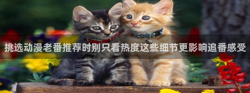 动漫天堂动漫推荐：挑选动漫老番推荐时别只看热度这些细节更影响追番感受配图