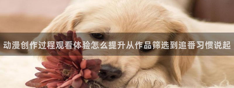 动漫天堂连载动漫大全：动漫创作过程观看体验怎么提升从作品筛选到追番习惯说起配图