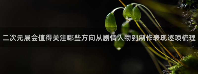 动漫天堂手机动漫在线观看:二次元展会值得关注哪些方向从剧情人物到制作表现逐项梳理配图