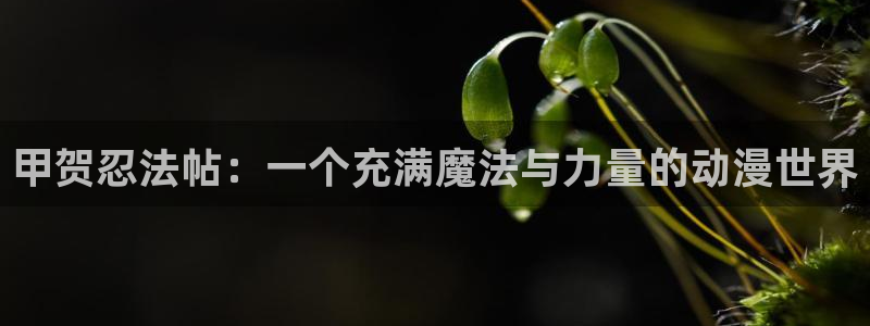 动漫天堂高分动漫:甲贺忍法帖:一个充满魔法与力量的动漫世界配图