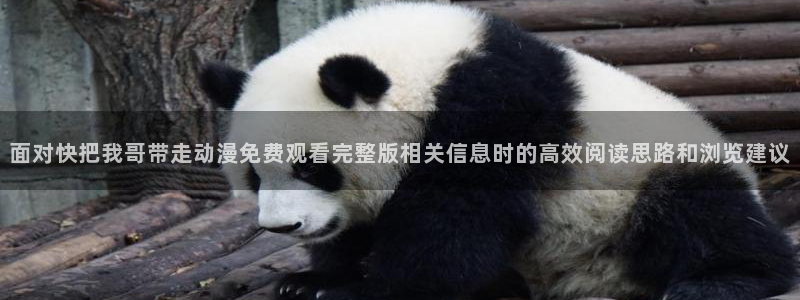 动漫天堂剧场版大全:面对快把我哥带走动漫免费观看完整版相关信息时的高效阅读思路和浏览建议配图