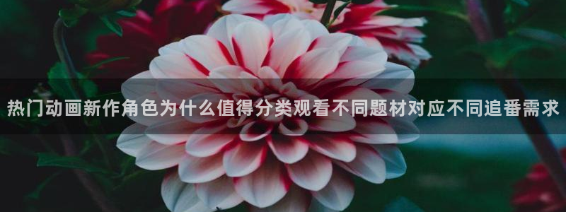 动漫天堂在线动漫免费:热门动画新作角色为什么值得分类观看不同题材对应不同追番需求配图