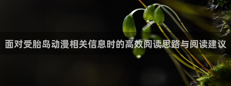 动漫天堂动漫在线观看:面对受胎岛动漫相关信息时的高效阅读思路与阅读建议配图