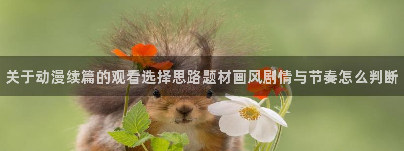 动漫天堂动漫新作:关于动漫续篇的观看选择思路题材画风剧情与节奏怎么判断配图