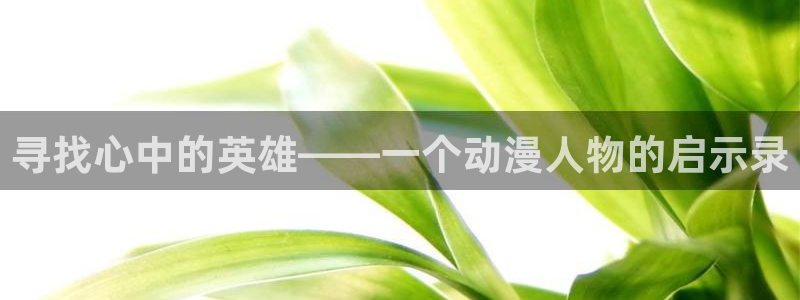 动漫天堂高清全集在线观看：寻找心中的英雄——一个动漫人物的启示录配图